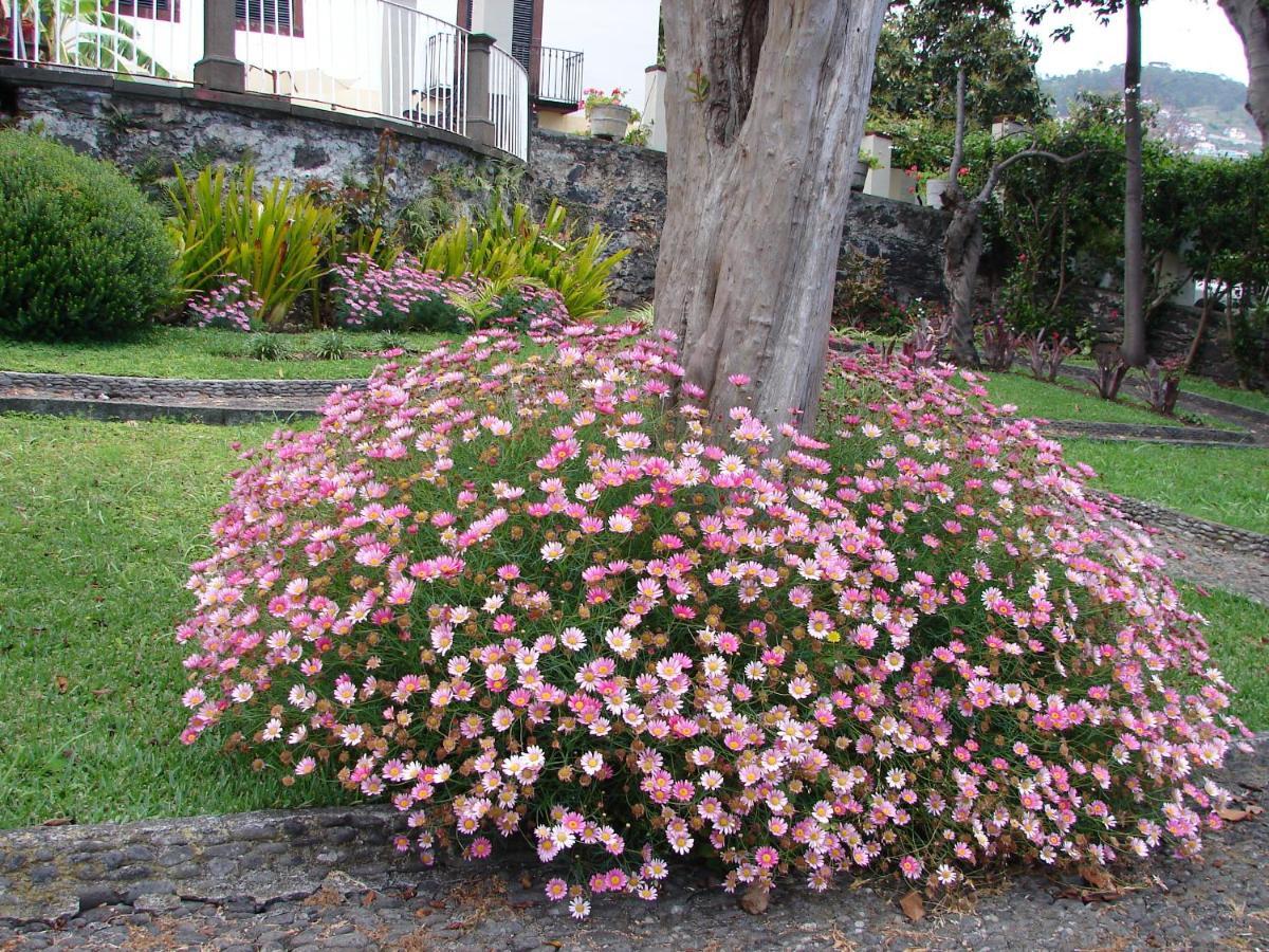 Romantic Studio Funchal  Kültér fotó